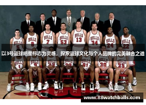 以3号篮球明星标志为灵感，探索篮球文化与个人品牌的完美融合之道