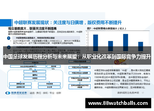 中国足球发展历程分析与未来展望：从职业化改革到国际竞争力提升