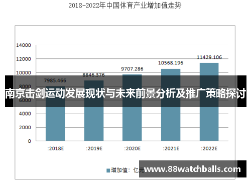 南京击剑运动发展现状与未来前景分析及推广策略探讨
