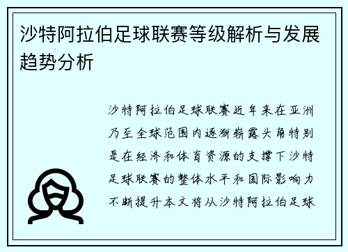 沙特阿拉伯足球联赛等级解析与发展趋势分析