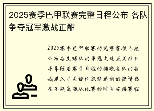 2025赛季巴甲联赛完整日程公布 各队争夺冠军激战正酣