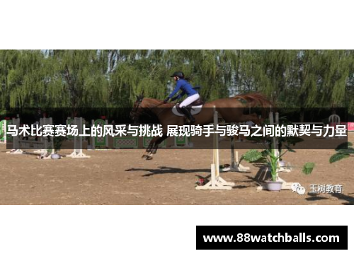 马术比赛赛场上的风采与挑战 展现骑手与骏马之间的默契与力量